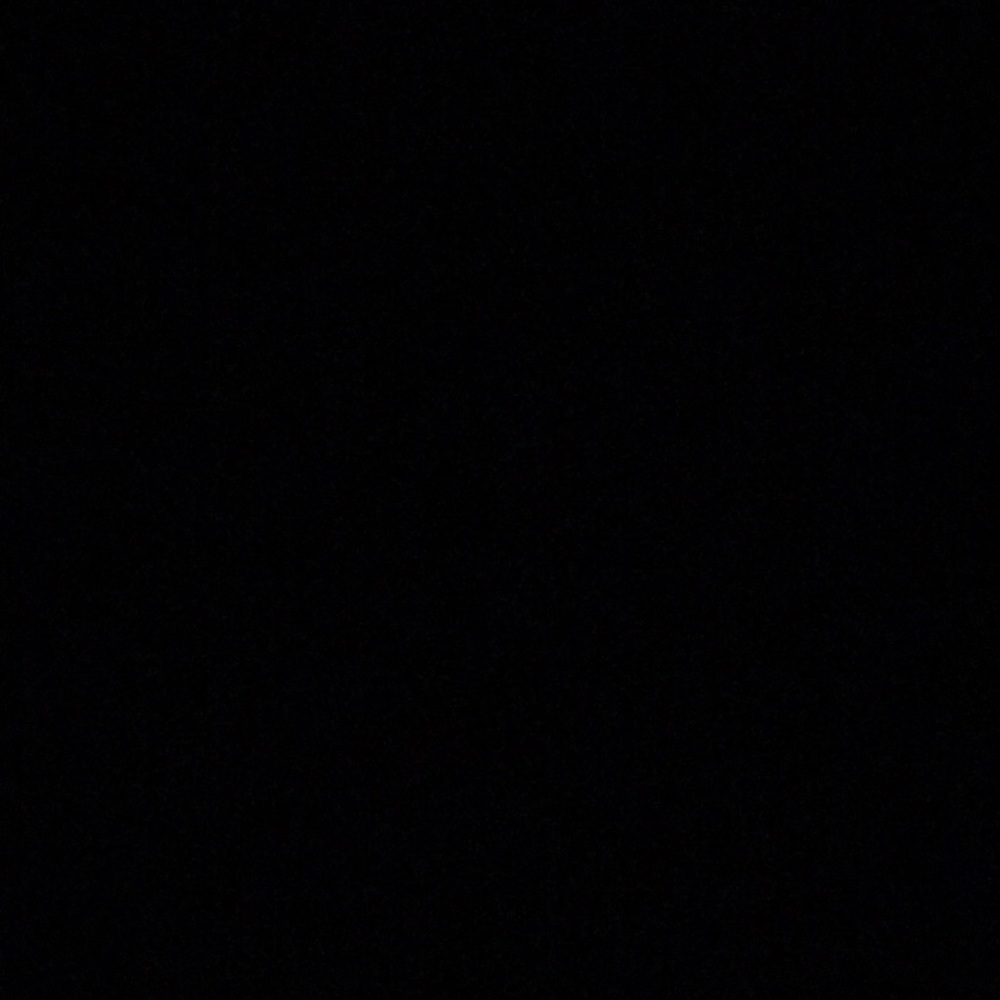 Meet your Posher, Bailey